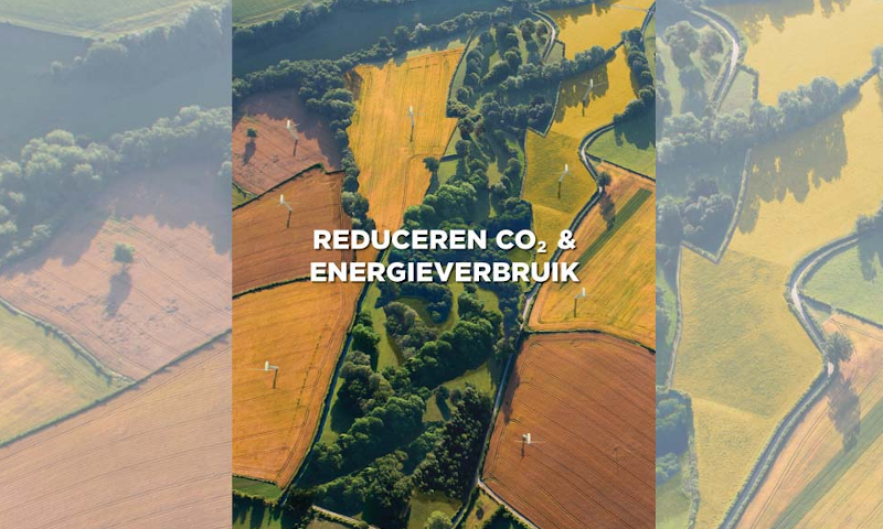 Bos in de vorm van een Grolsch beugel